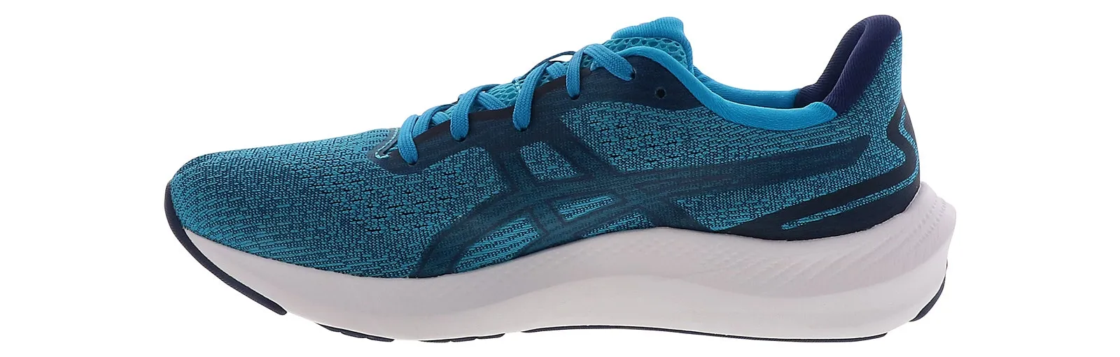 Asics Gel Pulse 14 Men’s Running Shoe