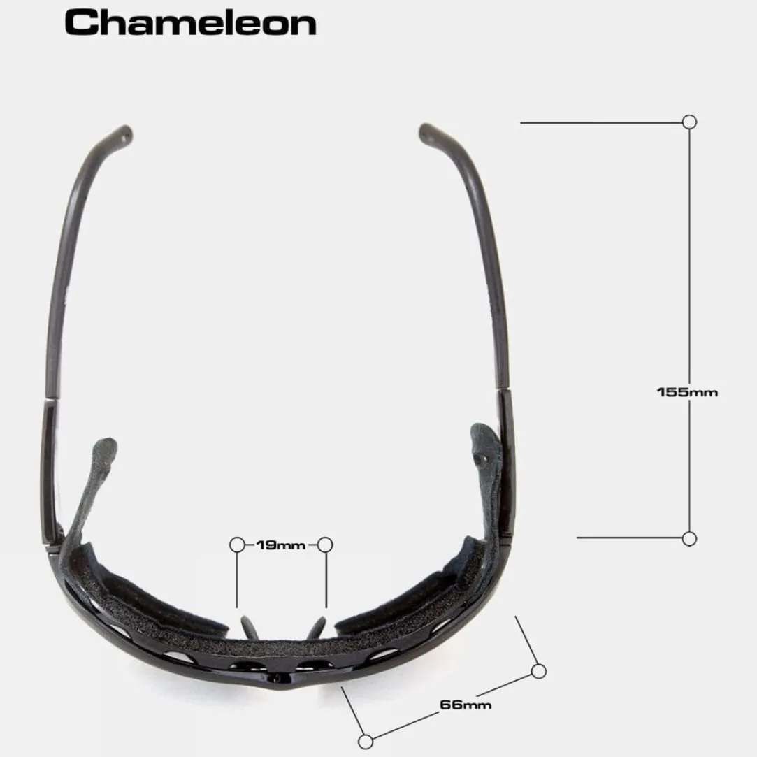 Chameleon Sunglasses