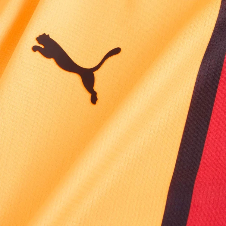 Puma Kids Galatasaray 2024-2025 Home Jersey