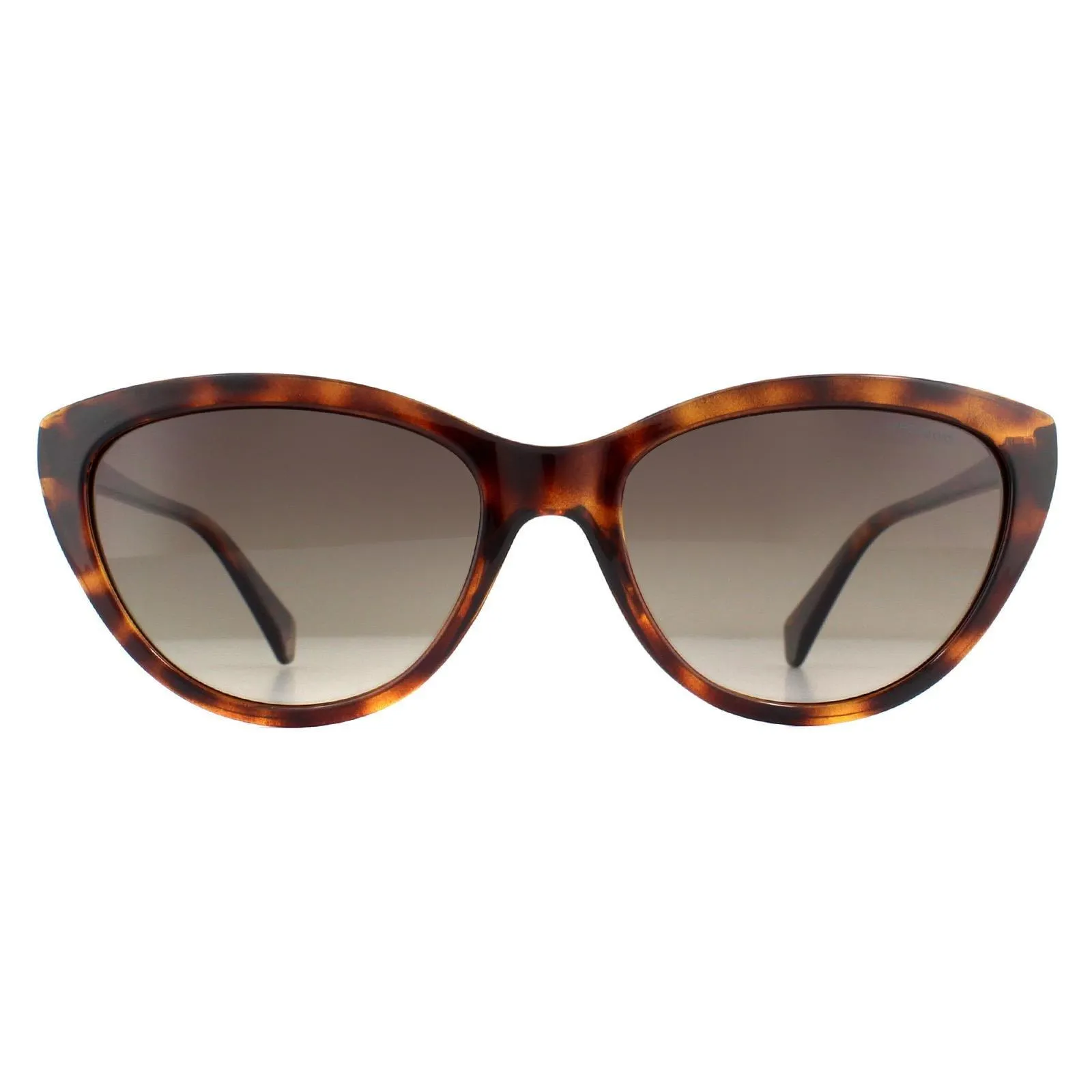 Sunglasses | Cat Eye Havana Brown Gradient Polarized Sunglasses | Polaroid