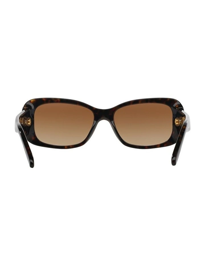 VO2606S Brown Sunglasses